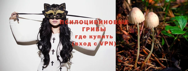 ПСИЛОЦИБИНОВЫЕ ГРИБЫ Гусь-Хрустальный