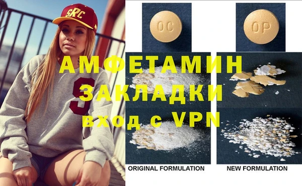 ПСИЛОЦИБИНОВЫЕ ГРИБЫ Гусь-Хрустальный