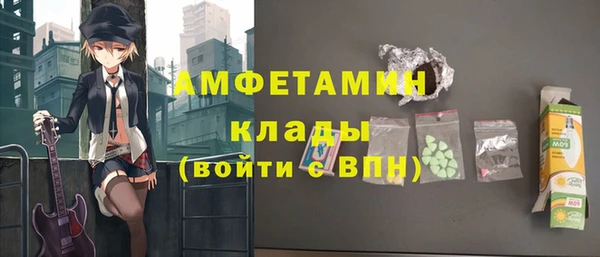 ПСИЛОЦИБИНОВЫЕ ГРИБЫ Гусь-Хрустальный