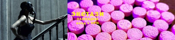 крисы Гусев