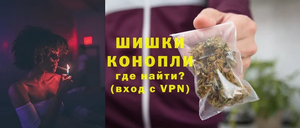 ПСИЛОЦИБИНОВЫЕ ГРИБЫ Гусь-Хрустальный