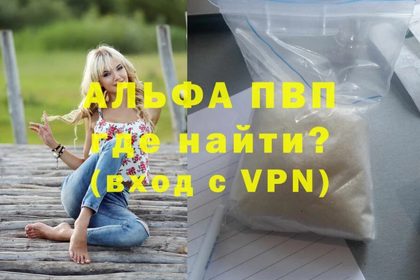 крисы Гусев