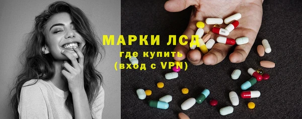 ПСИЛОЦИБИНОВЫЕ ГРИБЫ Гусь-Хрустальный