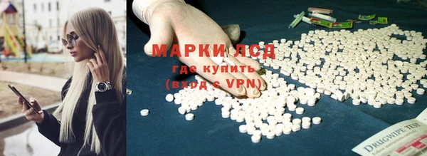 ПСИЛОЦИБИНОВЫЕ ГРИБЫ Гусь-Хрустальный