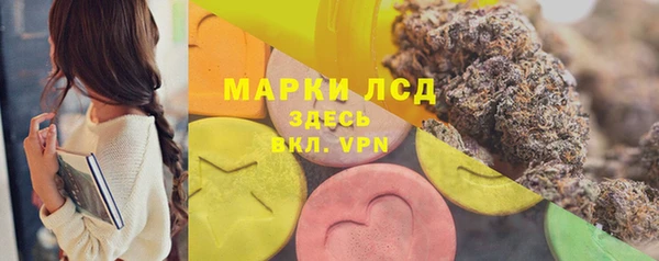 ПСИЛОЦИБИНОВЫЕ ГРИБЫ Гусь-Хрустальный