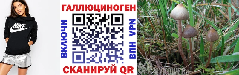 купить   Волчанск  hydra tor  Псилоцибиновые грибы MAGIC MUSHROOMS 